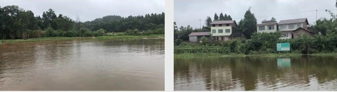 四川资阳市雁江区滴水岩水库水体修复技术服务项目