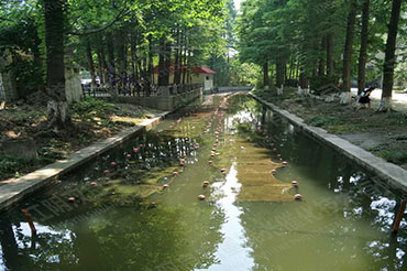 硬质岸坡河道消除黑臭-江苏省南通市城南中心河