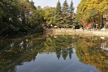 景观水体水质提升-贵州省贵阳市花溪板桥艺术村#水塘