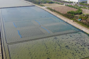 太湖水华控制和水草恢复光催化水生态修复示范项目