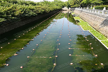 潮汐河道消除黑臭-江苏省江阴市法院秦泾河