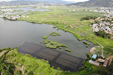 高原湖泊水质提升-大理西湖水质提升示范项目