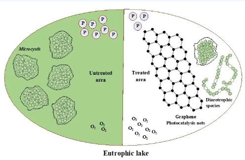 云南大学张虎才研究团队发表石墨烯光催化技术对高污染富营养化湖泊水质提升实验研究成果