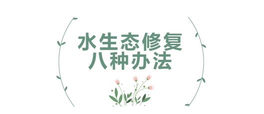 科普小课堂第31期 | 水生态修复的八种办法