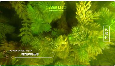 保护生物多样性<a href=//gpscxt.com target=_blank class=infotextkey><a href=//gpscxt.com target=_blank class=infotextkey>九游会品牌</a>环境</a>在行动！