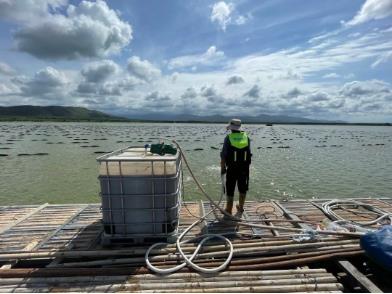 海口金牛湖南湖水生态修复工程：重构水生态系统 还一湖清水净流