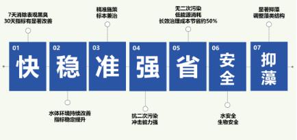 从污染治理转向生态修复看湖泊湿地如何回归