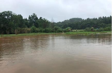 中国科学院水生生物研究所专家到公司（江夏山坡）水质监测基地考察指导