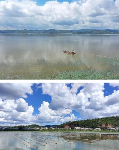 走出大通湖流域水环境治理与可持续发展新路子