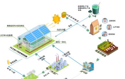 微藻碳中和——藻光一体化解决方案