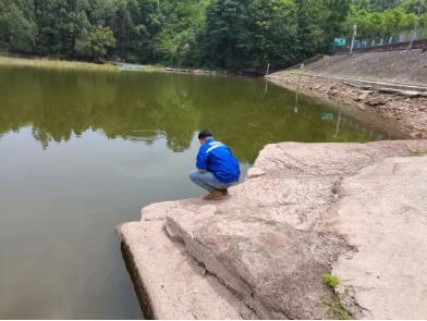 一种实用的河道生态修复与栖息地重建技术