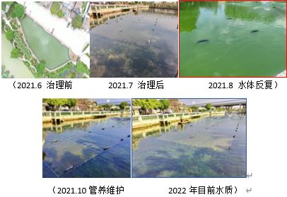 河道生态化建设是未来河道治理的方向