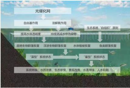 饮用水水源地环境整治攻坚