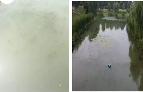 江夏区持续推进智慧水务建设