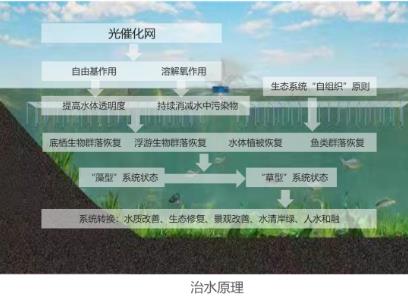 黑臭水体治理见成效 宿城河道景观换新颜