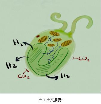  九游会品牌环境最新科研动态(2022-09)