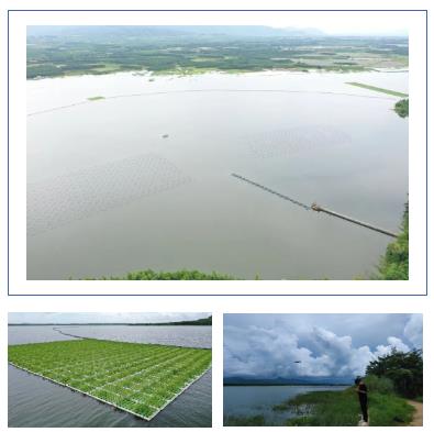 新闻转载｜通海杞麓湖国家湿地公园生态建设项目