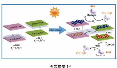  九游会品牌环境最新科研动态(2022-12)