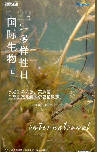 5.22生物多样性日｜共护碧水清波，共建和谐生态！