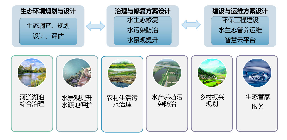 组织架构